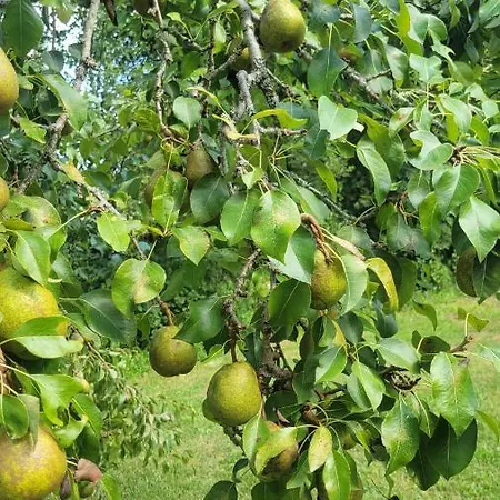 La Du Pecheur * Edon